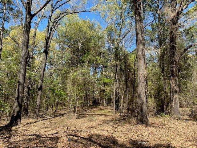 Land for sale in Henderson, Texas