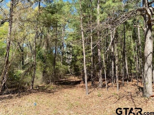Land for sale in Henderson, Texas