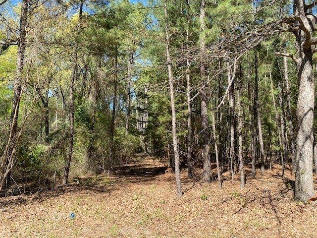 Land for sale in Henderson, Texas