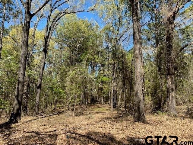 Land for sale in Henderson, Texas