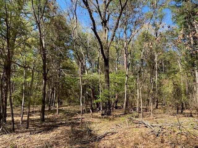 Land for sale in Henderson, Texas