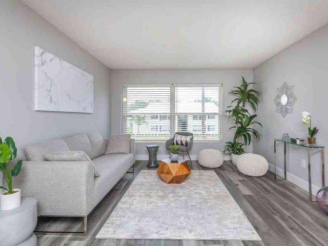 Apartment for rent in Tampa, Florida