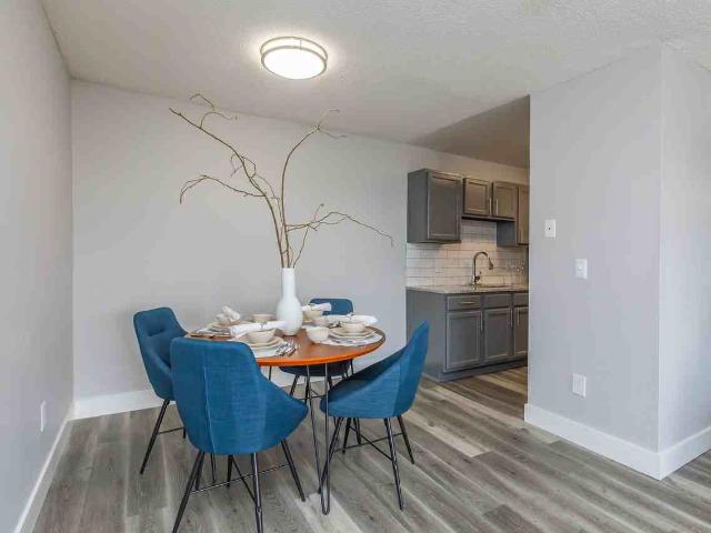Apartment for rent in Tampa, Florida