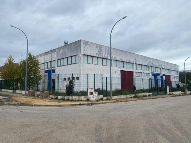 Loja venda em Bairro da Carrusca, Santiago Do Cacém