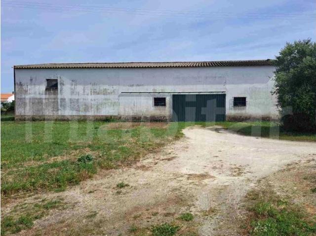 Armazém venda em Benavente, Santarém