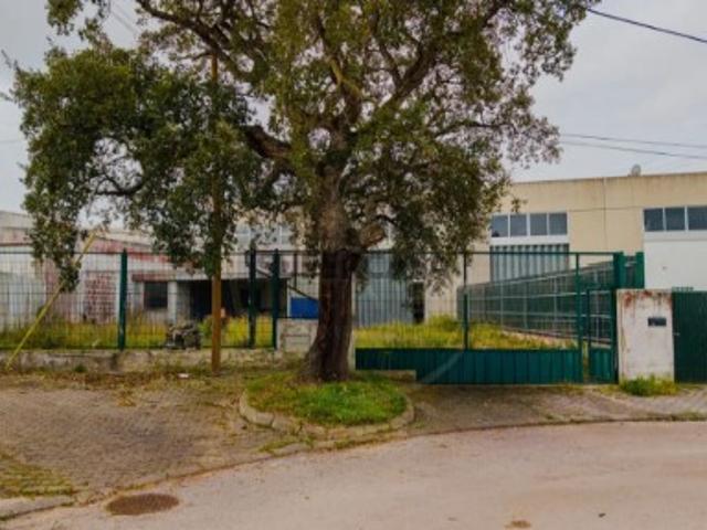 Armazém venda em Moita, Alhos Vedros