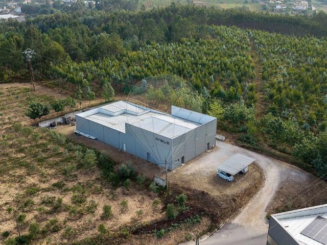 Armazém venda em Espaço Atividades Economicas EN1 Sul, Águeda