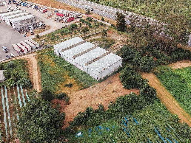 Armazém venda em Albergaria-a-Velha e Valmaior, Albergaria-a-Velha