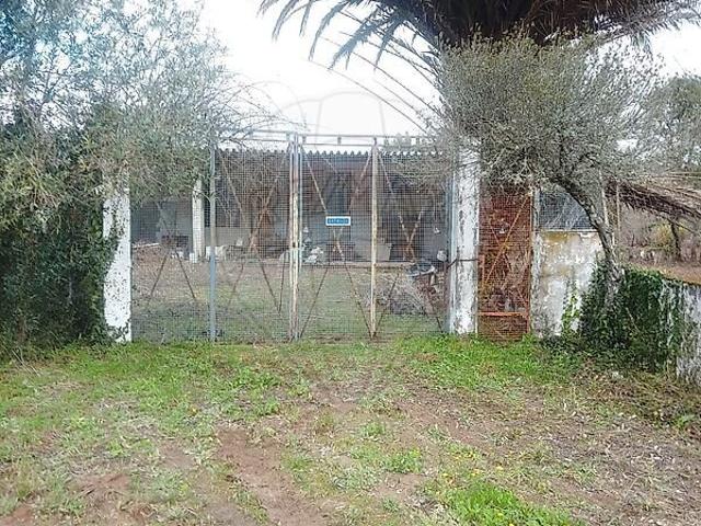 Armazém venda em Alvados e Alcaria, Porto de Mós