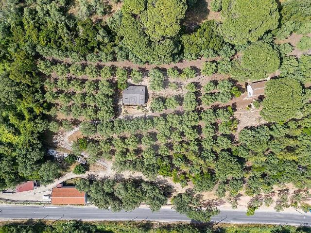 Armazém venda em Casal do Sapateiro, Loures