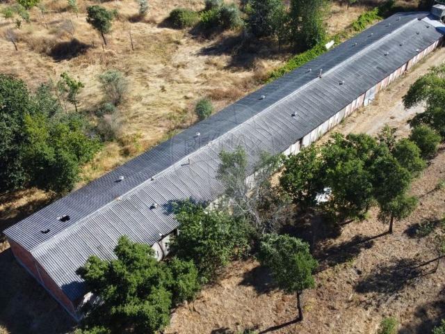 Armazém venda em Carregal Do Sal, Viseu