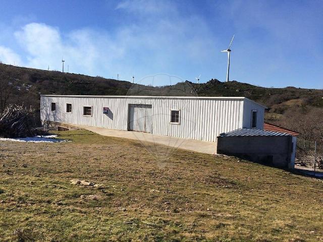 Armazém venda em Viseu