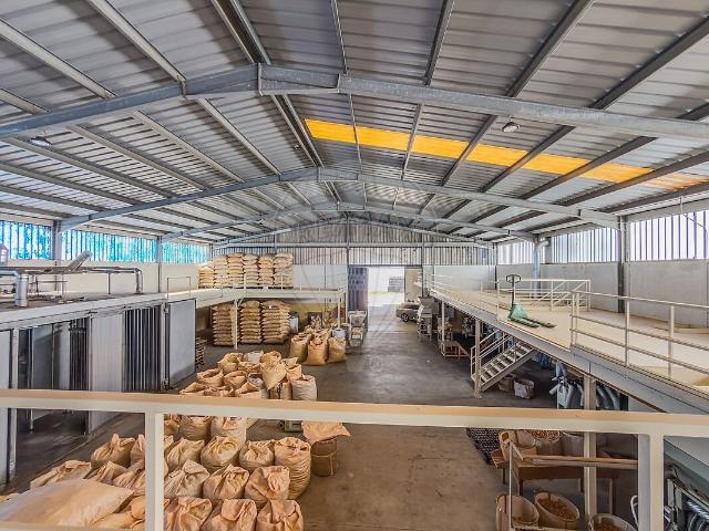 Armazém venda em Mozelos, Santa Maria da Feira