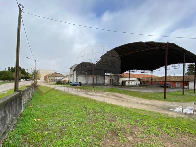 Armazém venda em Pegões-Gare, Montijo