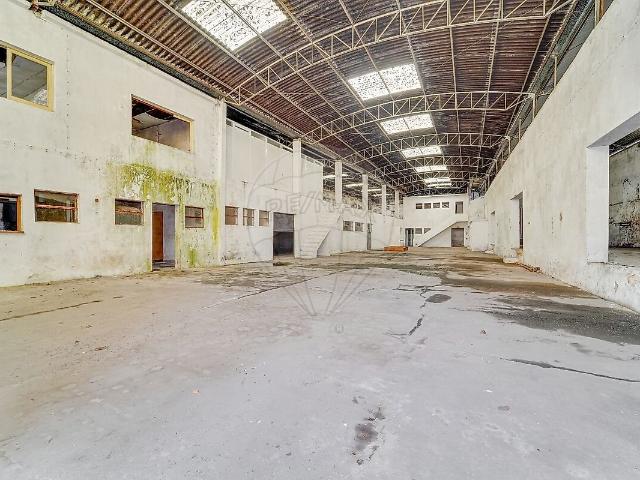 Armazém venda em Sangalhos, Anadia