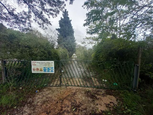 Armazém venda em Torres Novas, Santarém