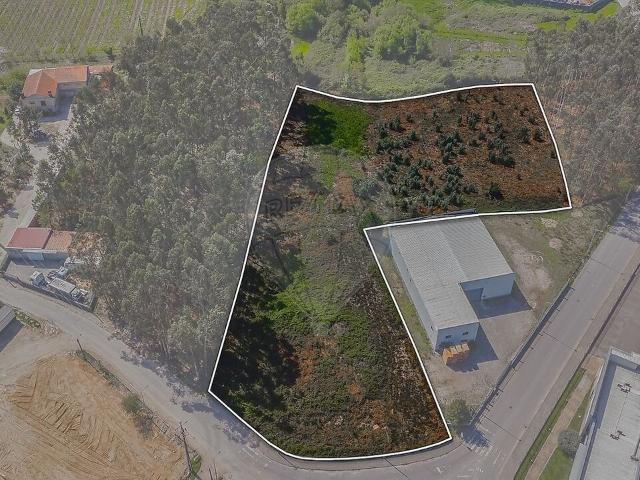 Armazém venda em Vandoma, Paredes