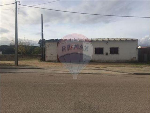 Armazém venda em Coruche, Santarém