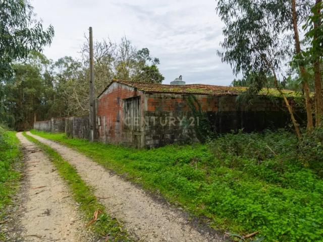 Loja venda em Leiria