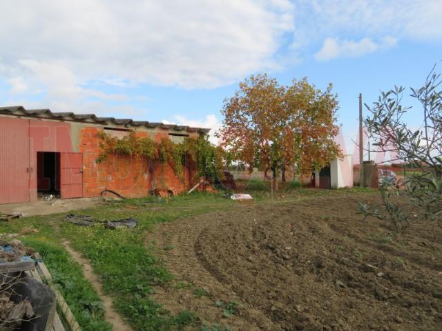 Armazém venda em São Marcos do Campo, Reguengos De Monsaraz