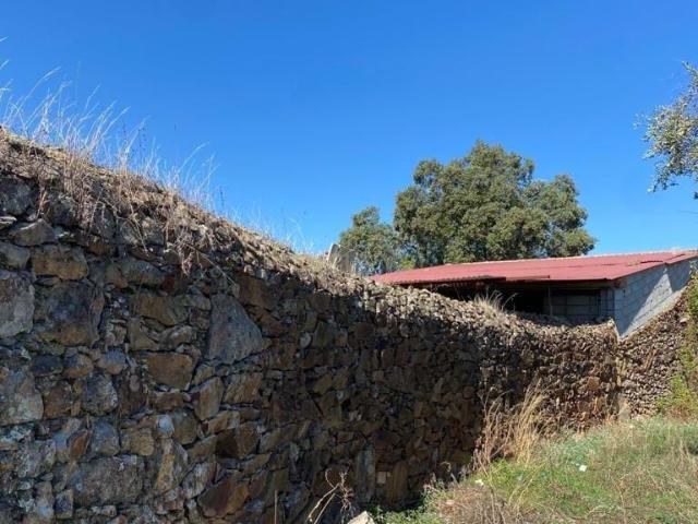 Terreno venda em Castelo Branco, Idanha-a-nova