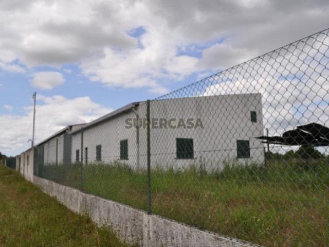 Armazém venda em Azambuja, Lisboa