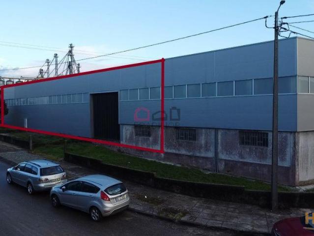 Armazém venda em Albergaria-a-velha, Aveiro