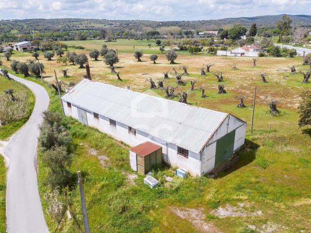 Armazém venda em Arraiolos, Évora