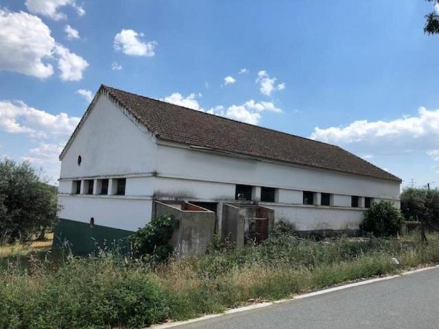 Armazém venda em Alfândega Da Fé, Bragança