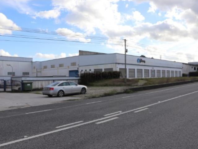 Armazém venda em Alcobaça, Leiria
