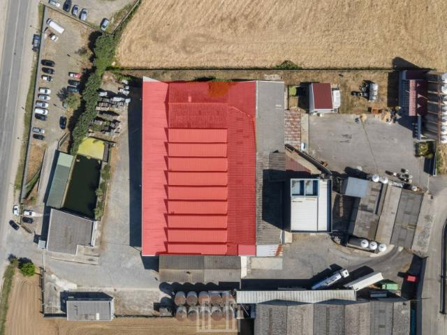 Armazém alugar em Estarreja, Aveiro