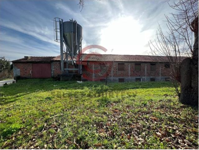 Armazém venda em Couto Do Mosteiro, Viseu