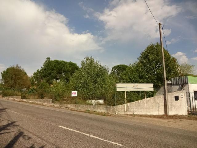 Armazém venda em Cartaxo, Santarém