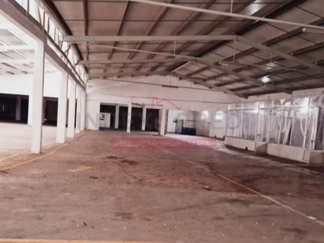 Armazém venda em Casainho, Anadia