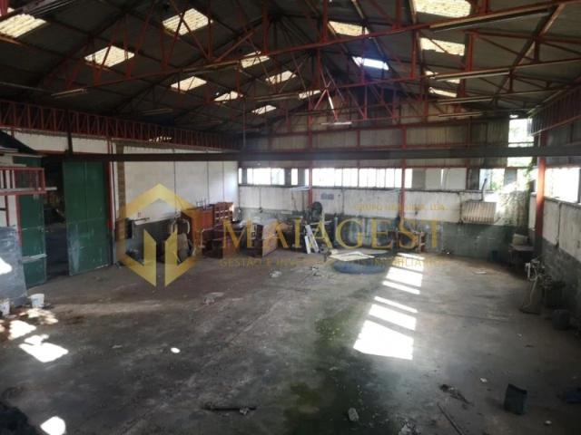 Armazém venda em Carvalhosa, Porto