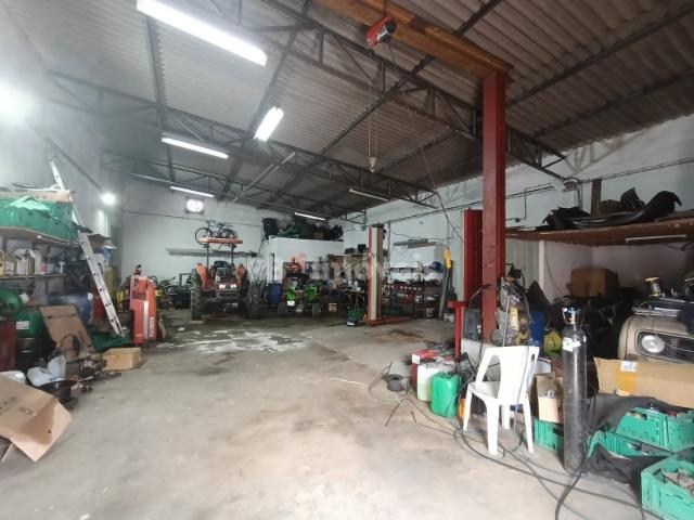 Armazém venda em Chamusca e Pinheiro Grande, Chamusca