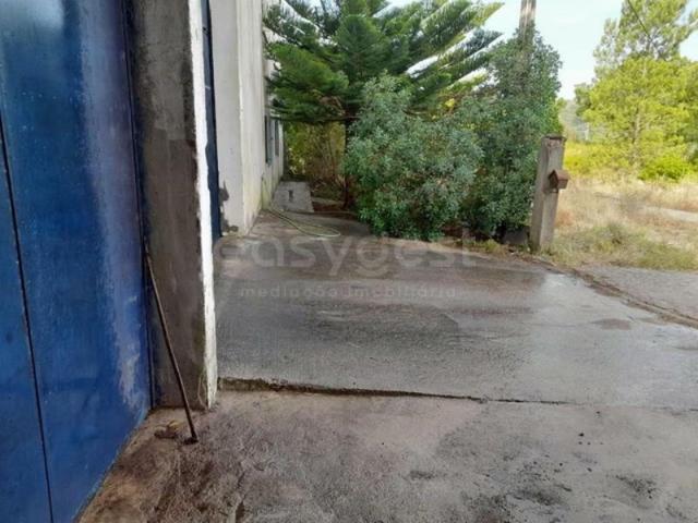 Armazém venda em Santarém