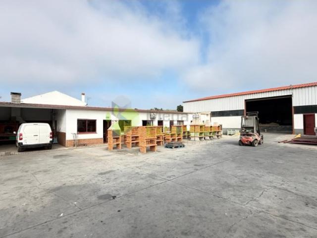 Armazém venda em Torres Vedras, Lisboa