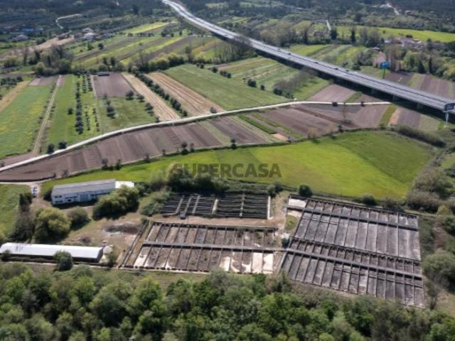 Armazém venda em Pombal, Leiria