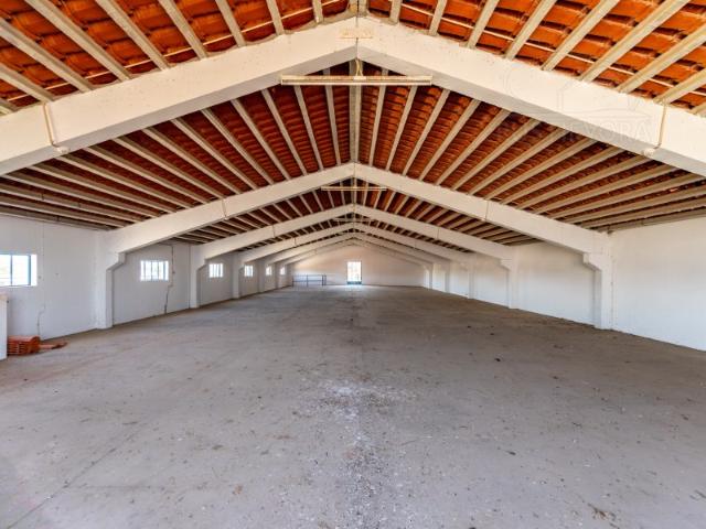 Armazém venda em Montemor-o-novo, Évora