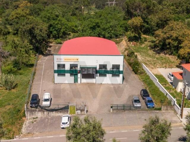 Armazém venda em Coimbrã, Brasfemes