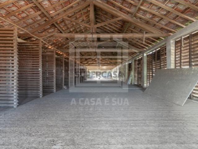 Armazém venda em Santa Maria Da Feira, Aveiro