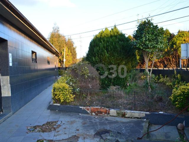 Armazém venda em Valongo, Campo