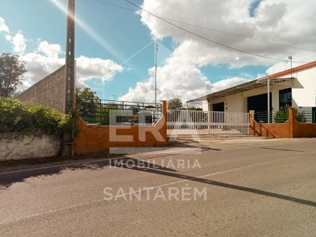 Armazém venda em Santarém