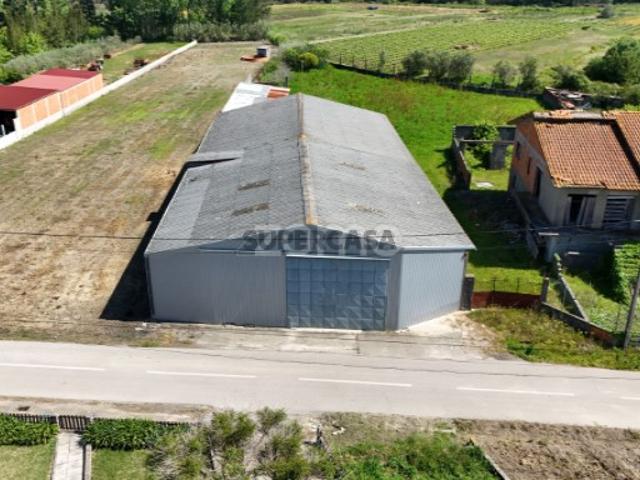 Armazém venda em Cantanhede, Coimbra