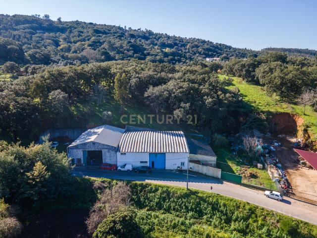 Loja venda em Monte da Gingeira, Monchique