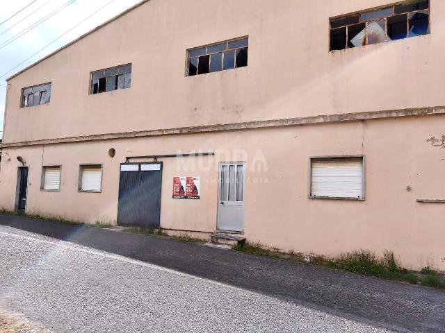 Armazém venda em Alcobaça, Leiria