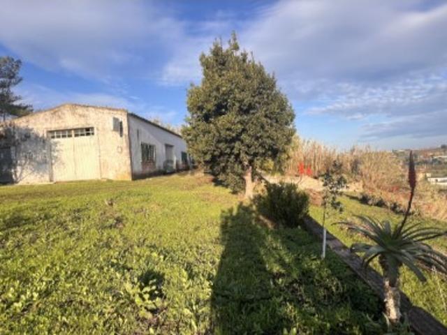 Armazém venda em Lourinhã, Lisboa