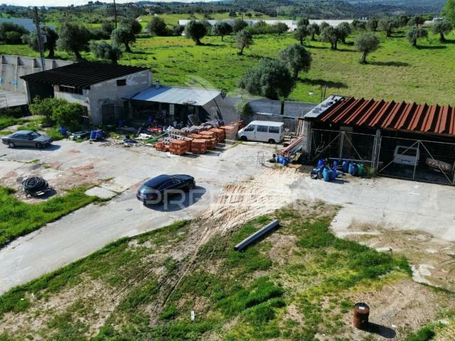 Armazém venda em Alcanena, Santarém