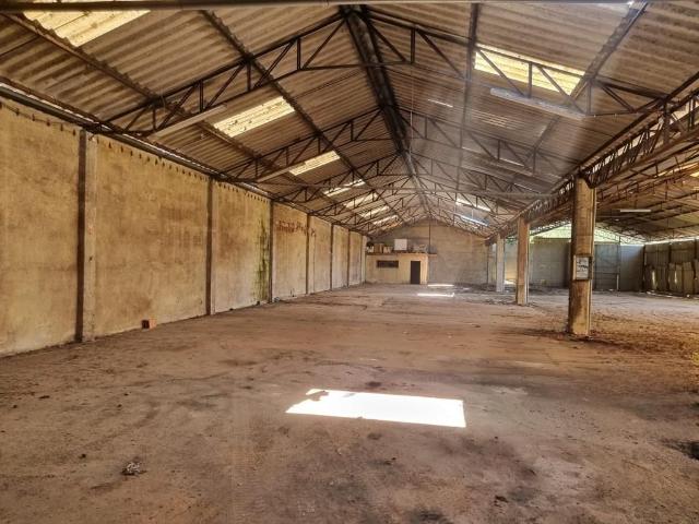 Armazém venda em Anadia, Aveiro